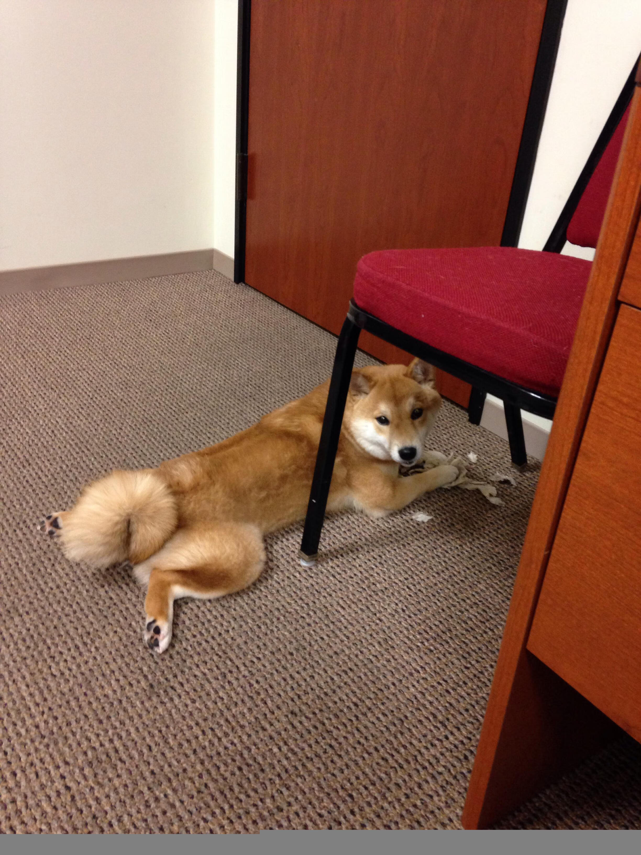 开云首页登录-_破纪录时刻：运动员创下个人或赛事新高_，运动员世界纪录