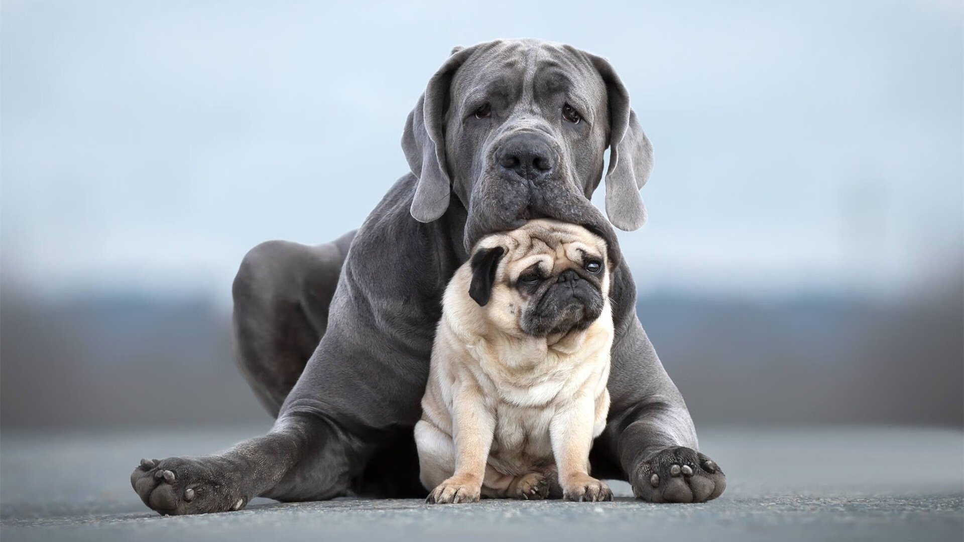 kaiyun体育app-“西甲战局再掀高潮，强队纷纷冲击榜首”，西甲ds