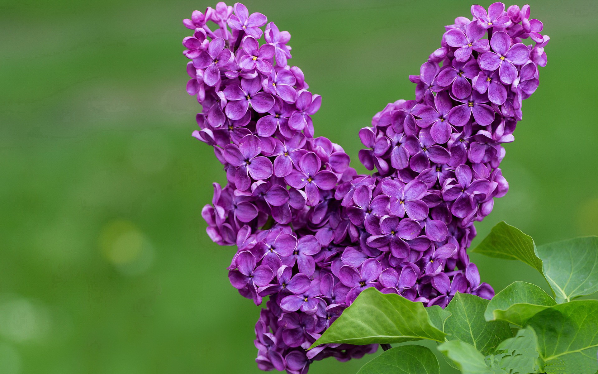 kaiyun网站-唐卡斯特防守紧密，贝尔维球场争连胜，贝卡尔特围栏