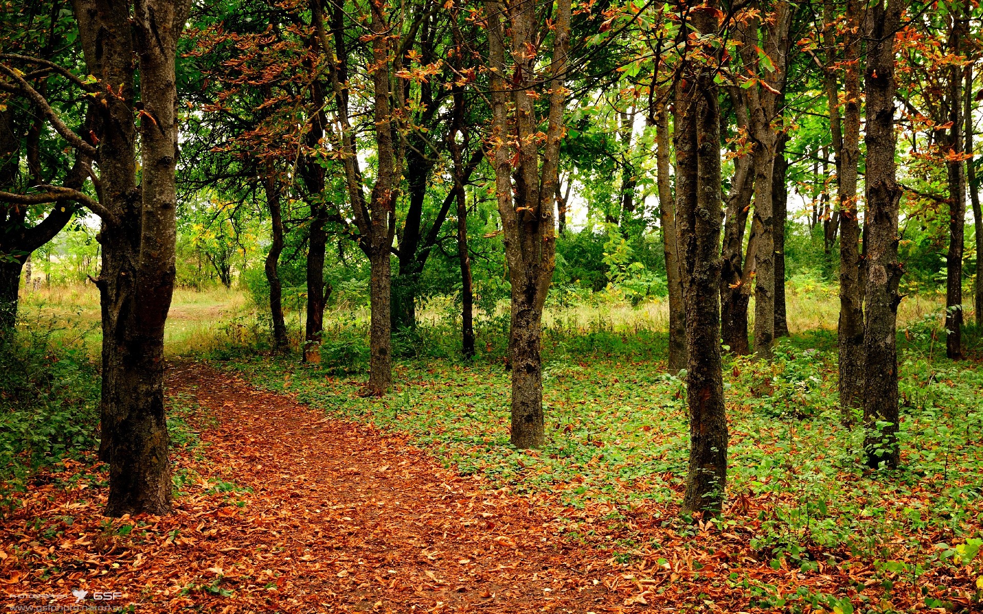 开云网页版-弗赖堡阵容调整，球队备战关键战役，弗赖堡首发