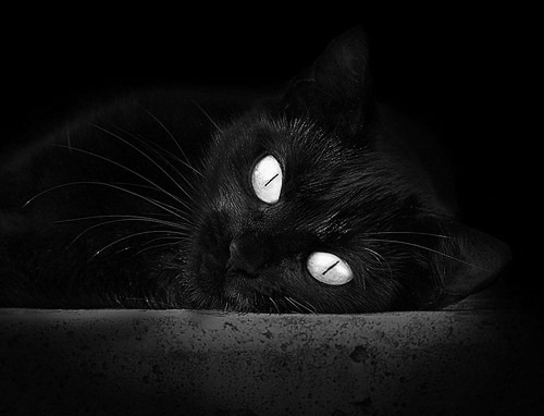 kaiyun开云·官方网站-电竞游戏内置观战系统设计的创新思路与用户体验优化，能观战的游戏