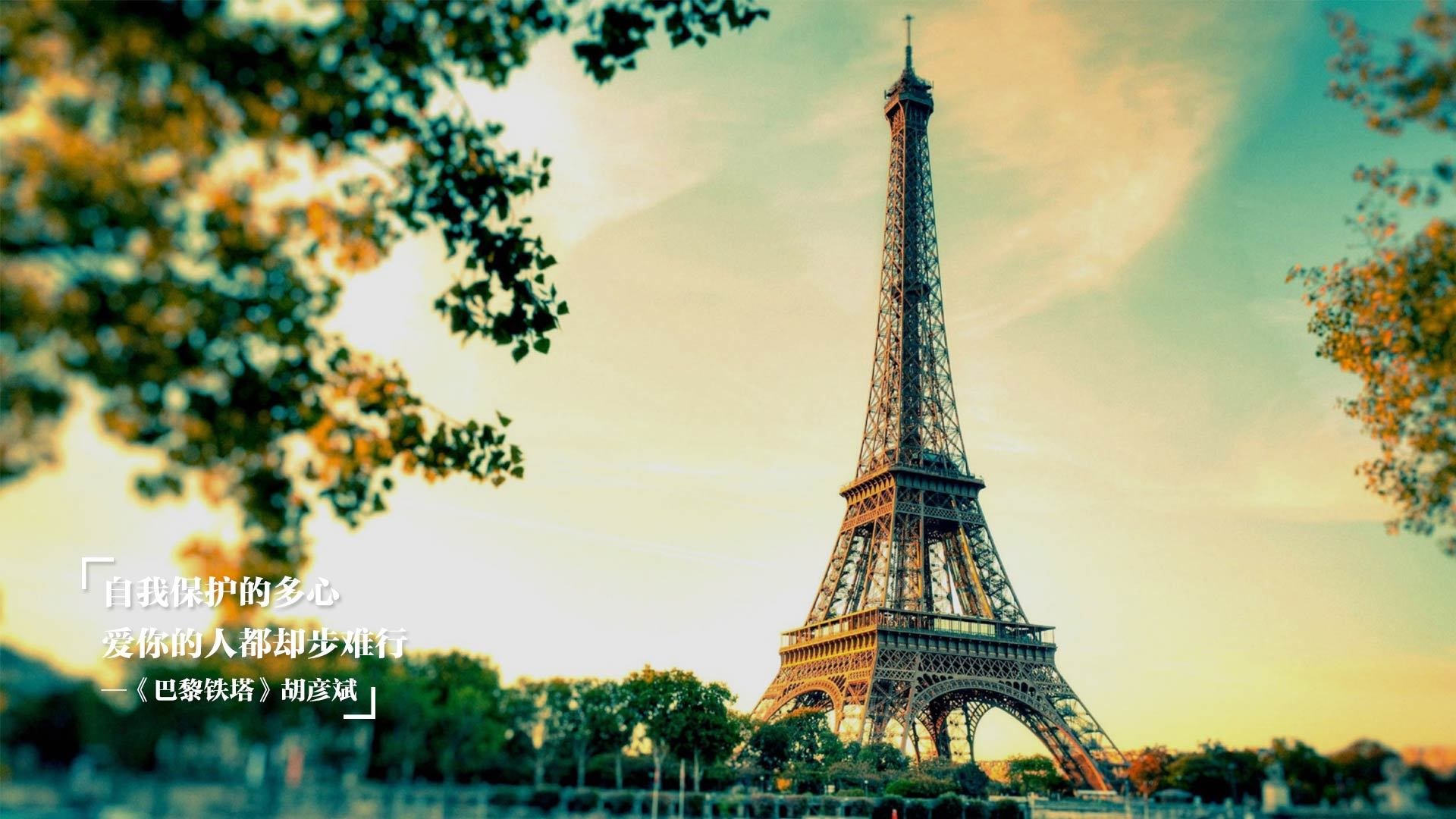 开云体育视频直播-美国队主场胜利，稳居前列位置，美国队比赛结果