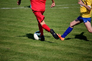 开云官方-世界青少年自行车赛中国骑手再创佳绩，2020全国青少年自行车锦标赛