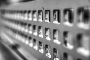 开云·体育全站登录地址-青少年体质监测结果区域对比研究，青少年健康体质检测中心