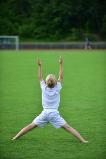 kaiyun中国官方网站-高校运动训练计划动态调整机制研究，运动训练调控