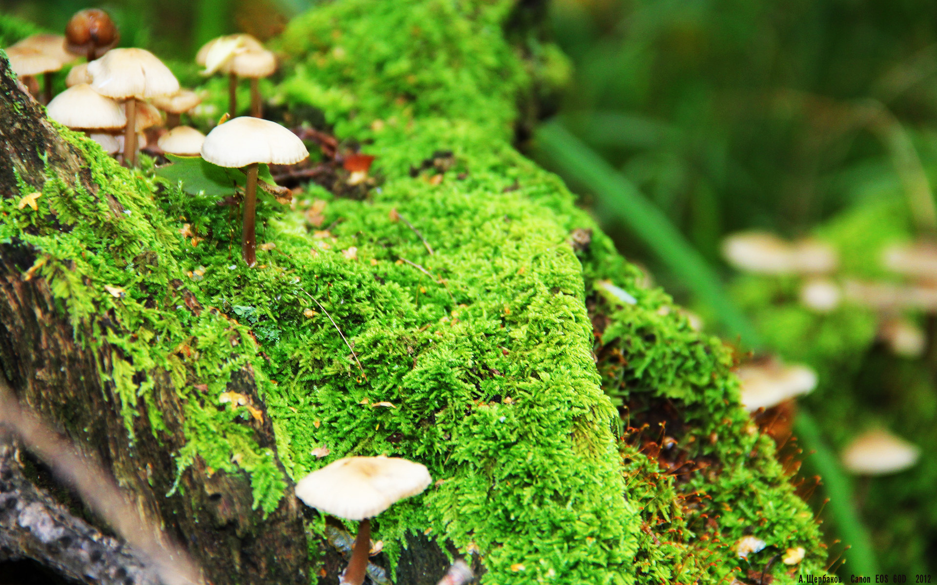 开云kaiyun-中国女篮展望新周期 目标锁定世界前三，中国女篮近期