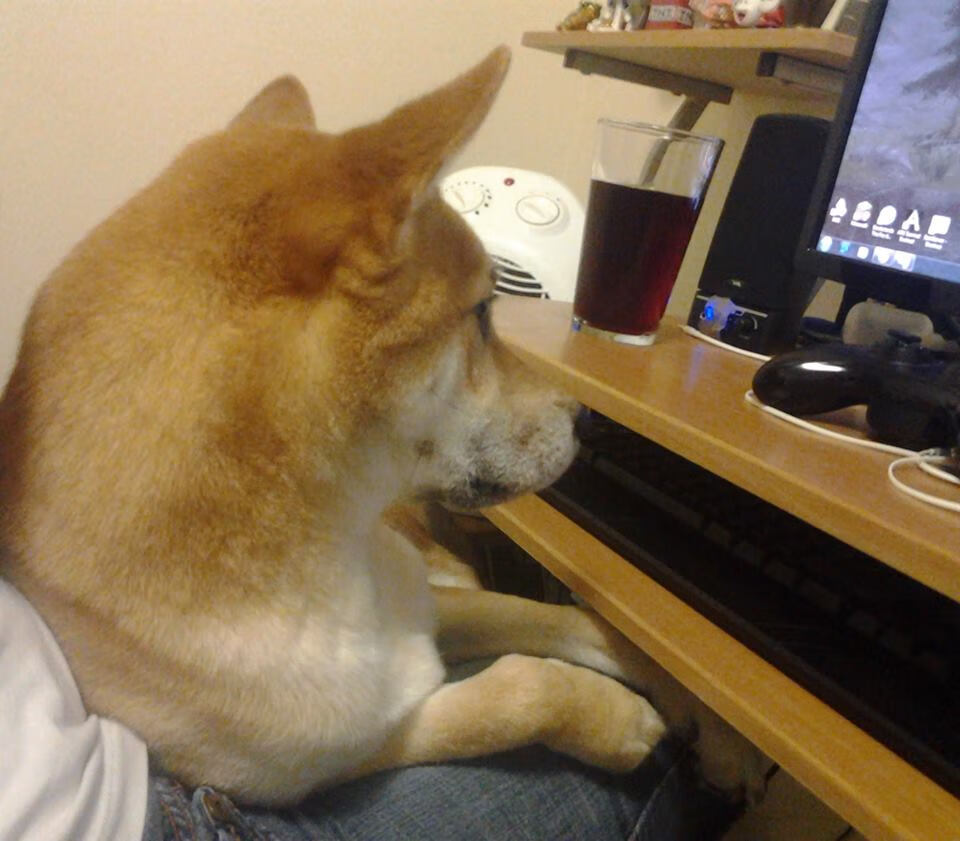 开云-体育新闻中心建设面向基层的体育资讯服务平台，体育新闻专题报道