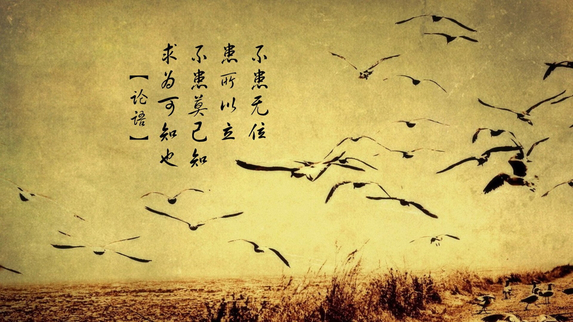 开云体育视频直播-国际乒联混合团体世界杯：聚焦中国香港队的表现与经验，香港队乒乓球比赛