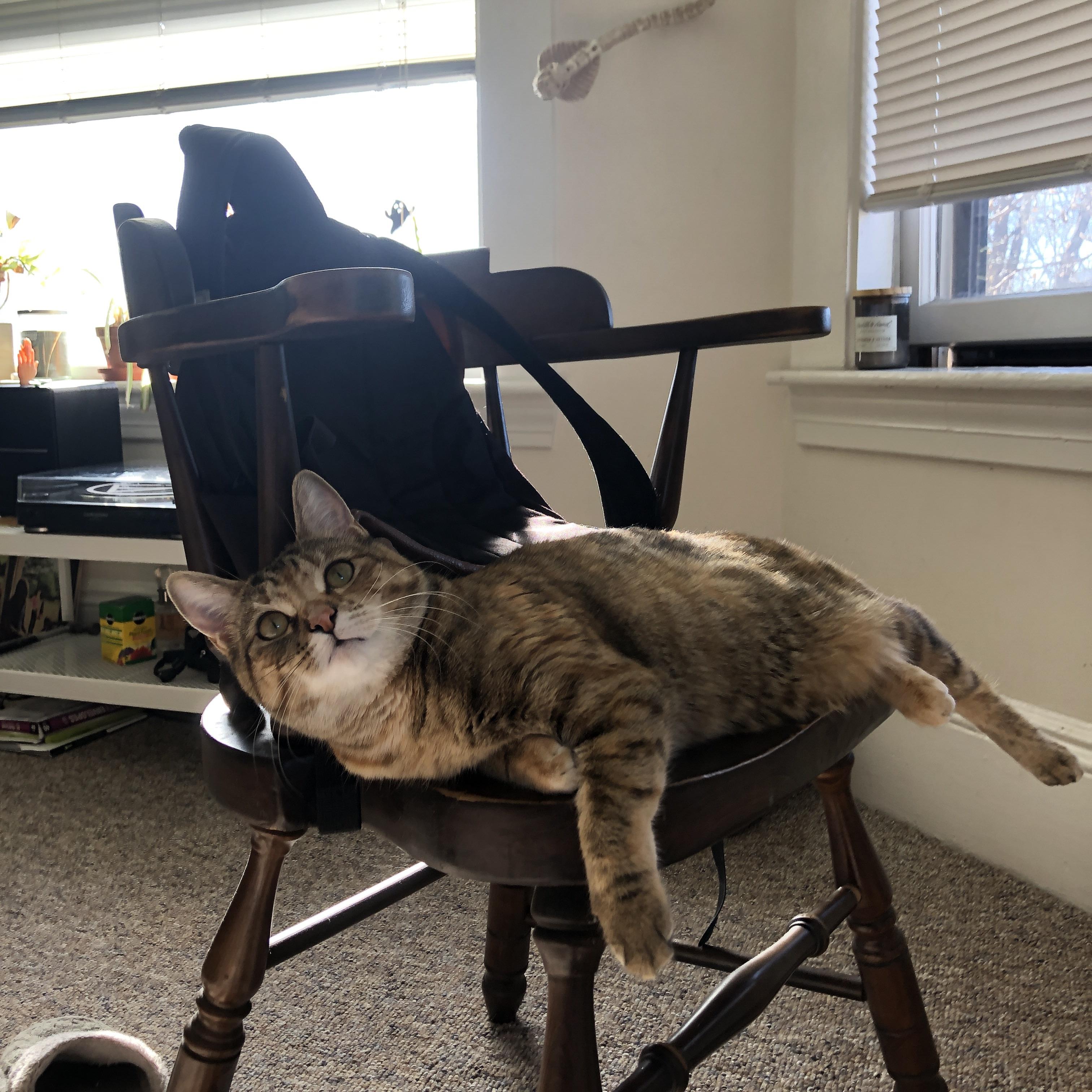 开云平台-赵继伟传球视野开阔串联全队节奏流畅，赵继伟打球