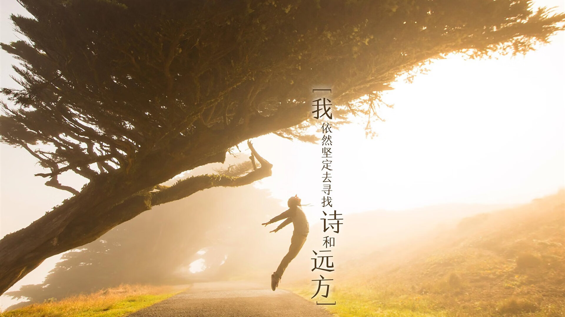 “萨尔·巴赫的决胜时刻：南非羚羊队的英雄”