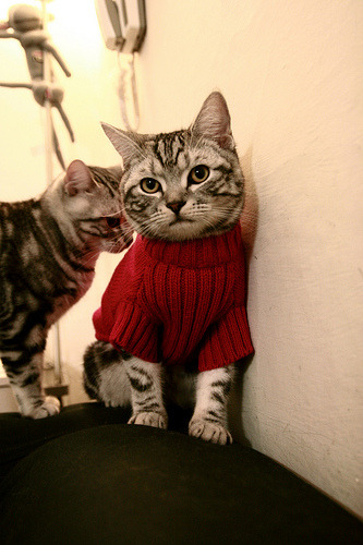 kaiyun开云·官方网站-希腊男篮在欧洲锦标赛中夺金，延续辉煌传统，希腊男篮拿过世锦赛冠军吗