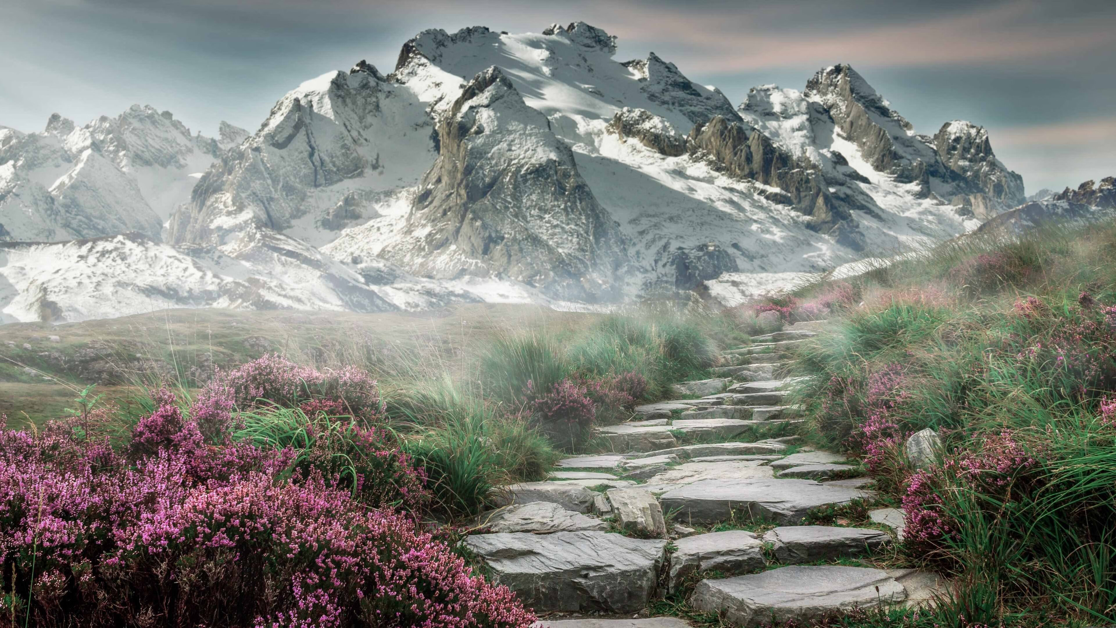 KAIYUNAPP-篮球全明星赛火爆开赛，篮球全明星赛火爆开赛怎么打