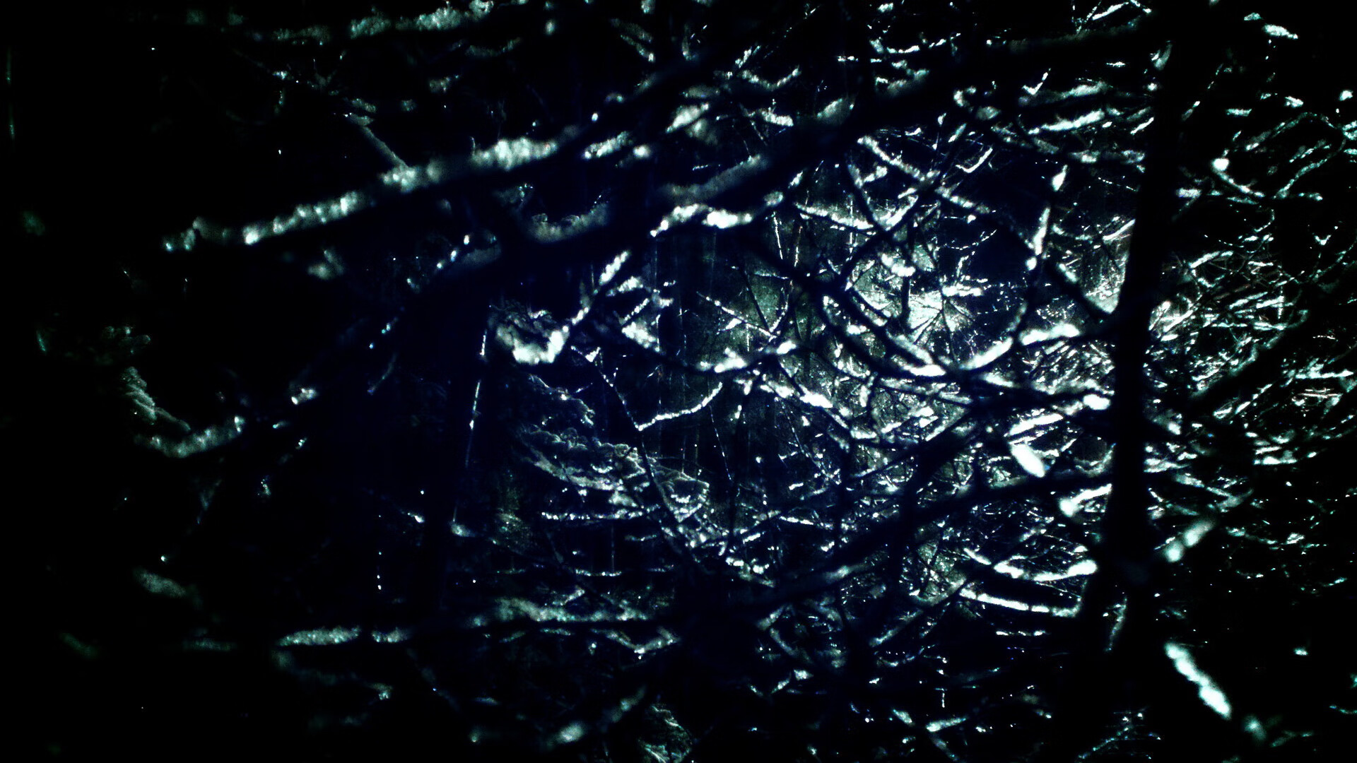 kaiyun 开云体育-蛙泳中程摩纳哥节奏精准，蛙泳高阶视频